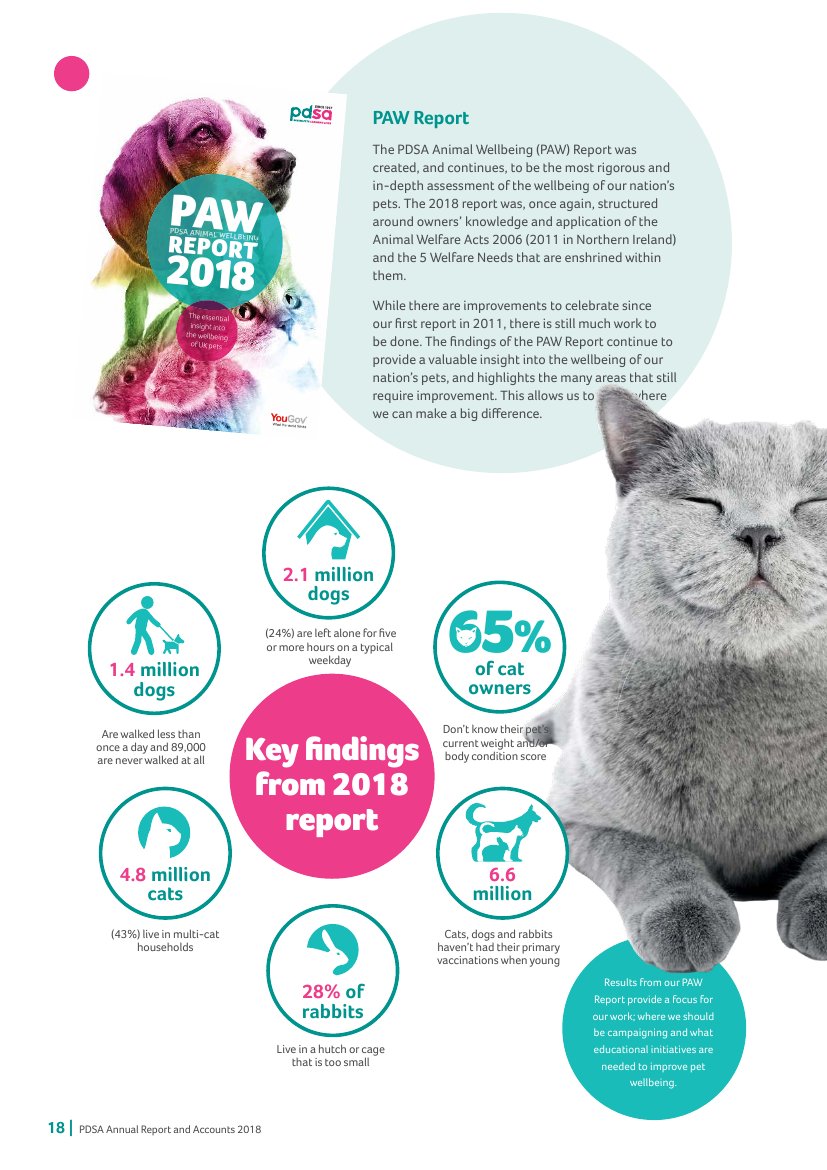 PAW Report key findings