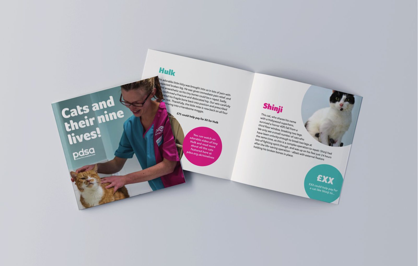 Mid-level donor booklet